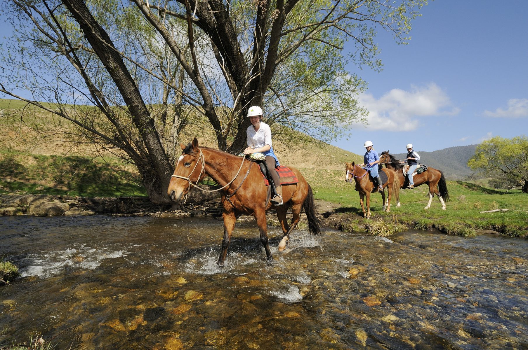 3 people riding horses across a shallow stream