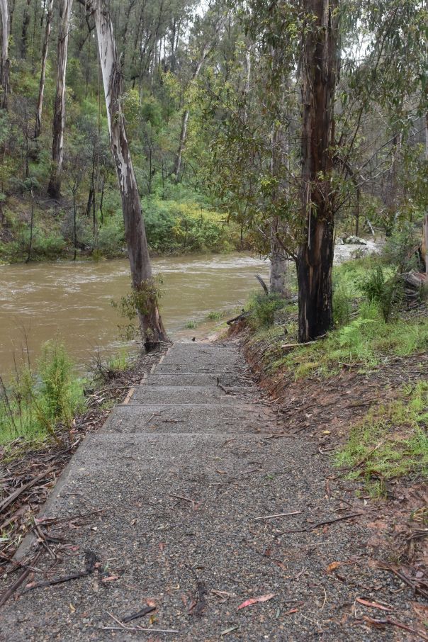 A path leading from the campsite down to the banks of the Buffalo river