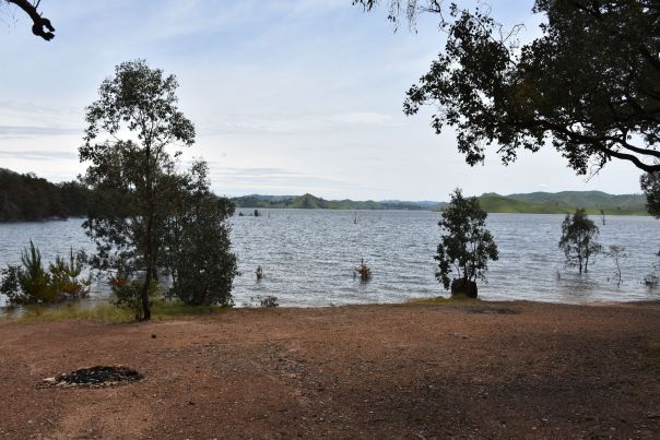 Shoreline of Lake Eildon where you are able to set up your tent for easy access to the water