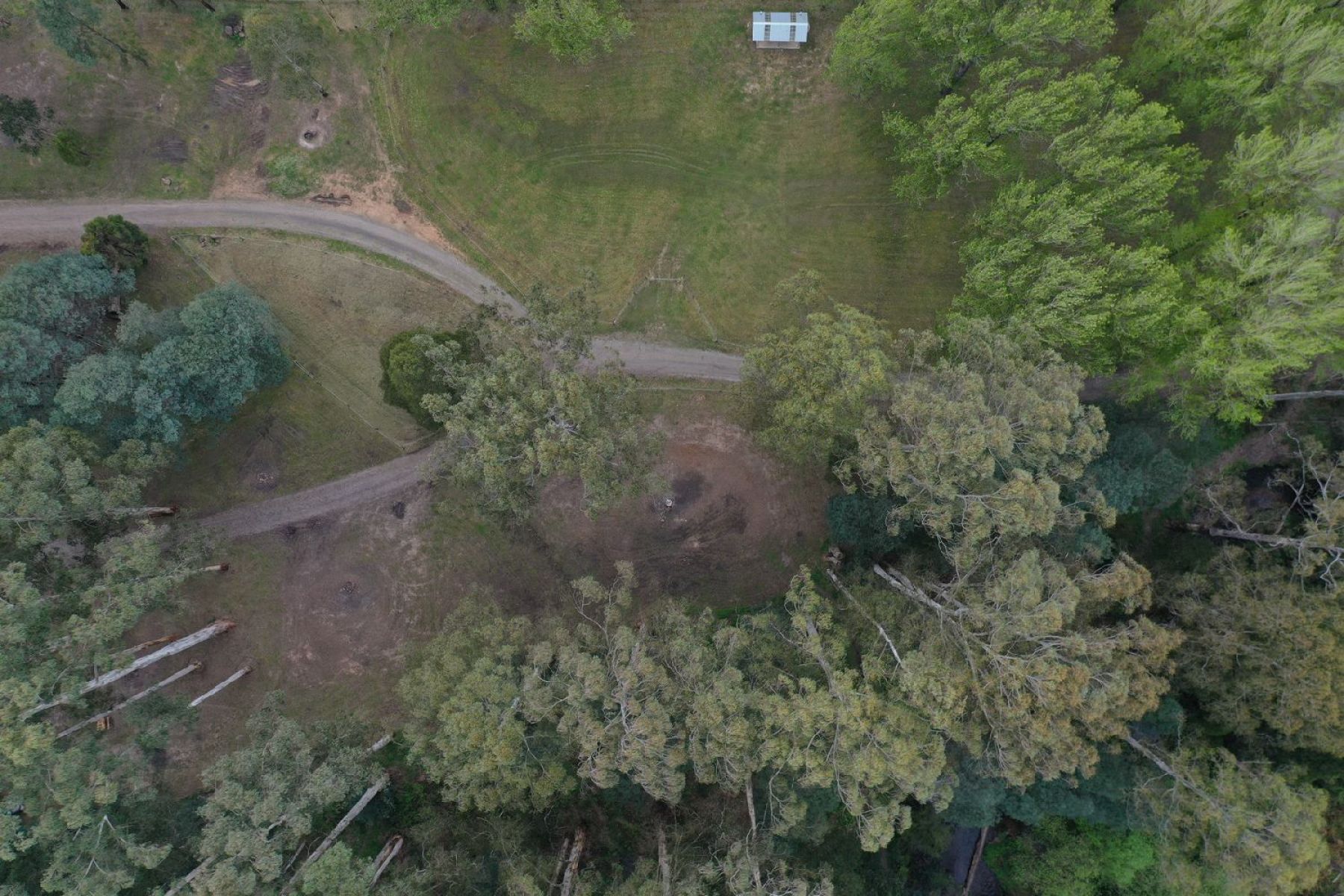 An image taken from a drone above Poplars Reserve, showcasing the large camping area surrounded by native trees 