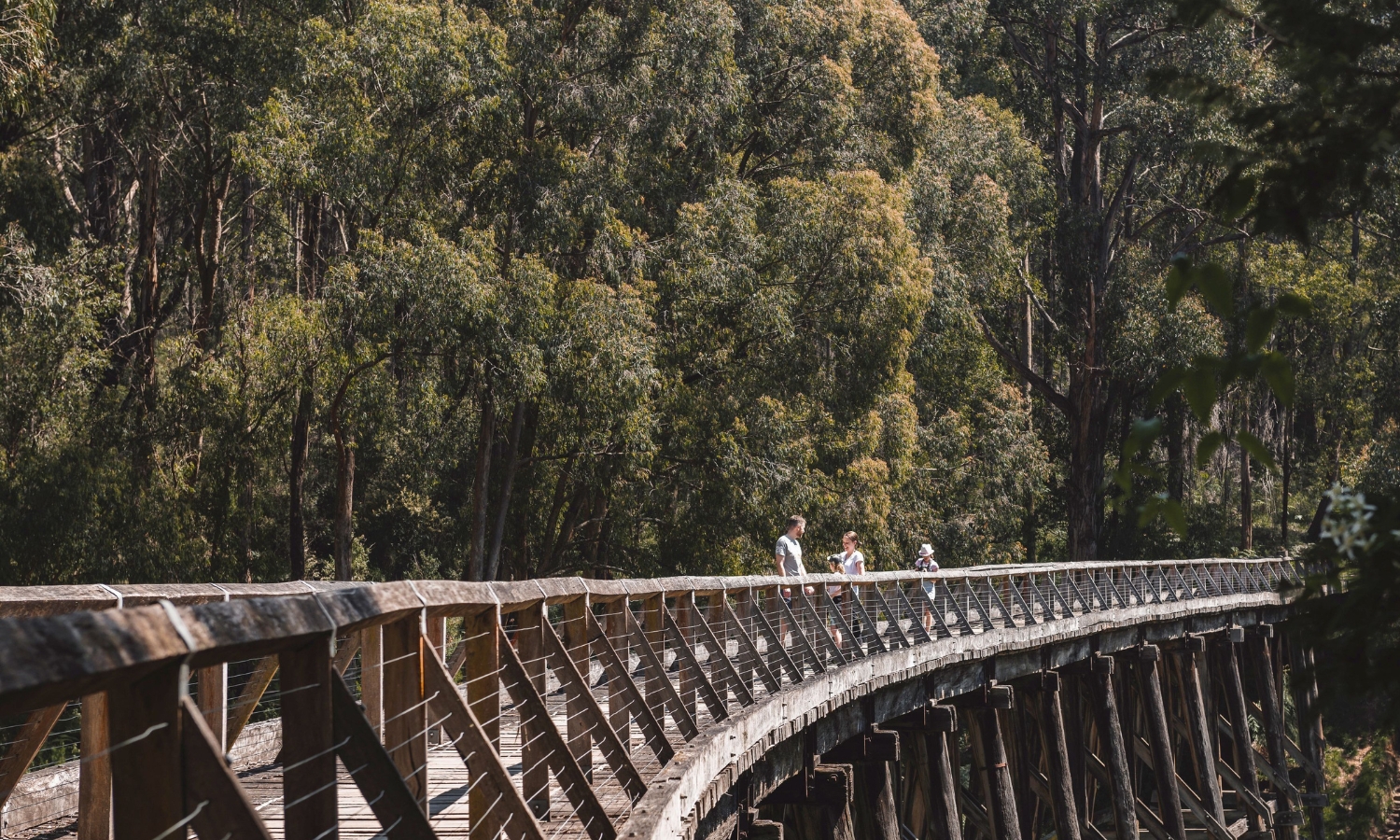 Noojee Bridge - Primary Campaign Family enjoying Noojee Bridge