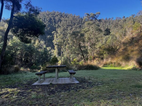 A picnic table surrounded by grass in the forest. 