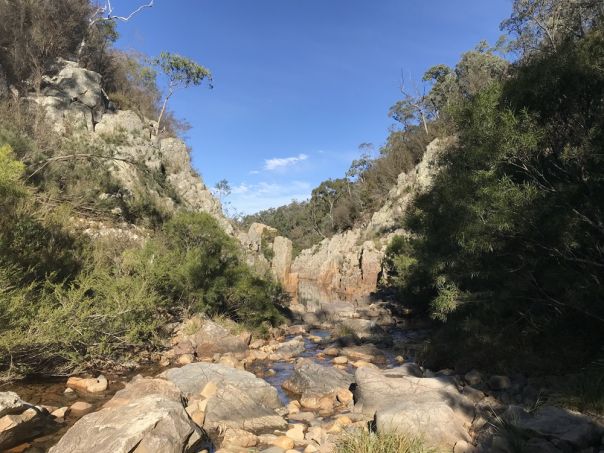 A creek running through a rocky gorge