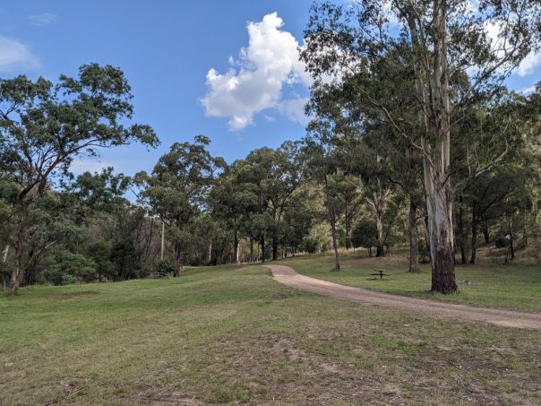 Grassy clearing with a gravel track running through it, surrounded by trees