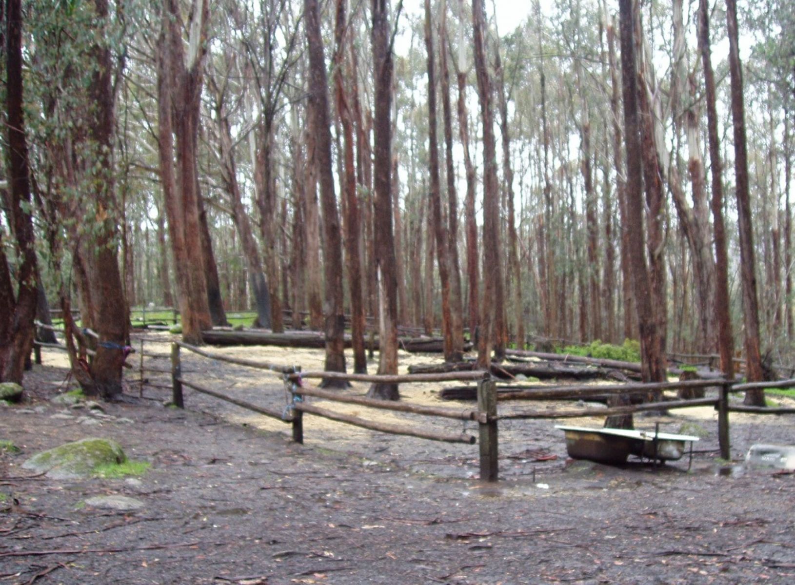 Wooden fenced horse enclosure surrounded by trees