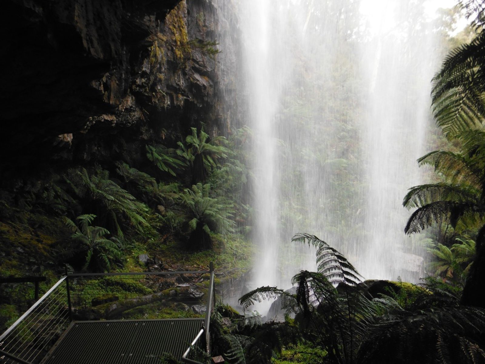 Waterfall surrounded by forest
