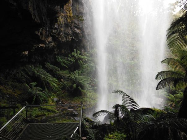 Waterfall surrounded by forest
