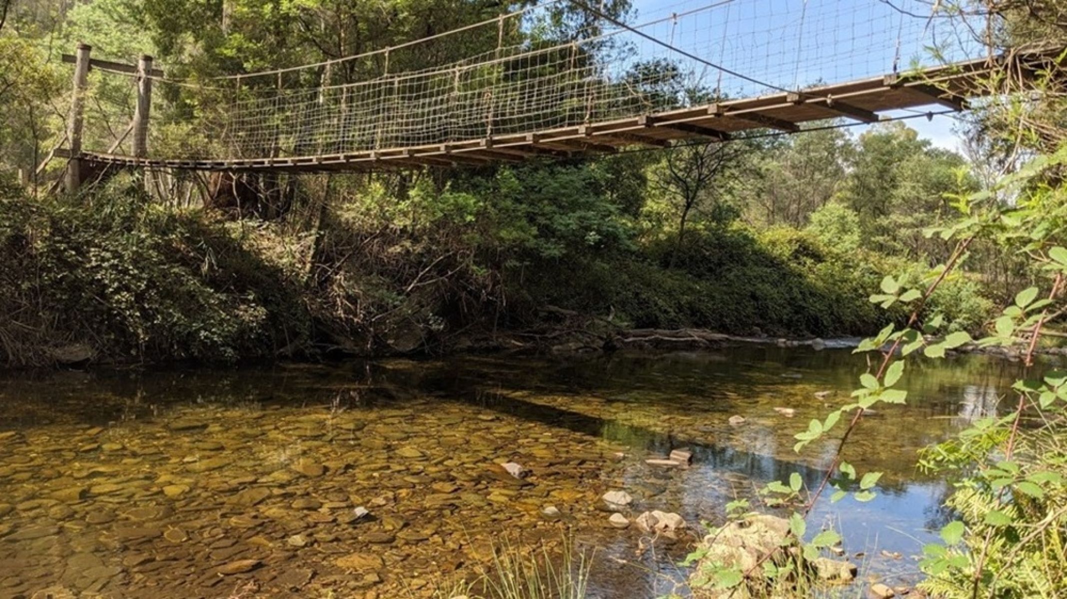 A wooden bridge over a river in the forest.