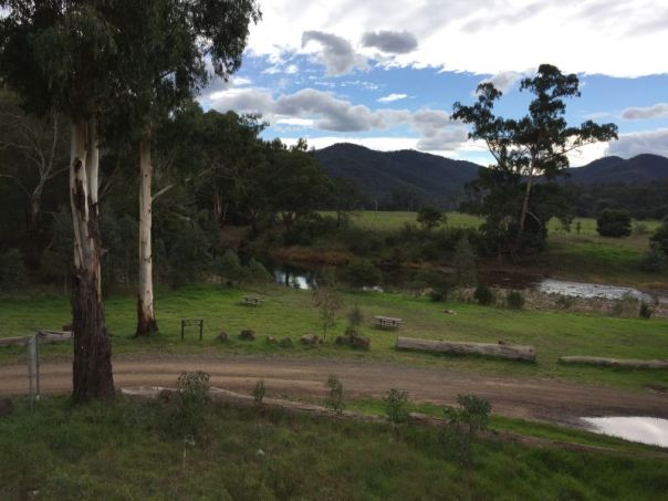 A gravel track running through a grass campground beside a river