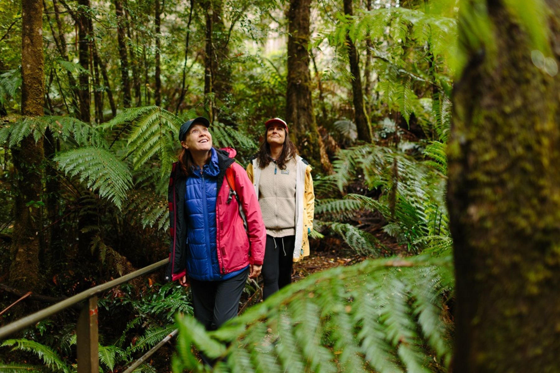 Two people walking through tall forest