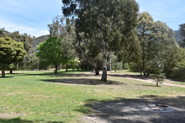 A grassy expanse with large trees and mountains in the distance