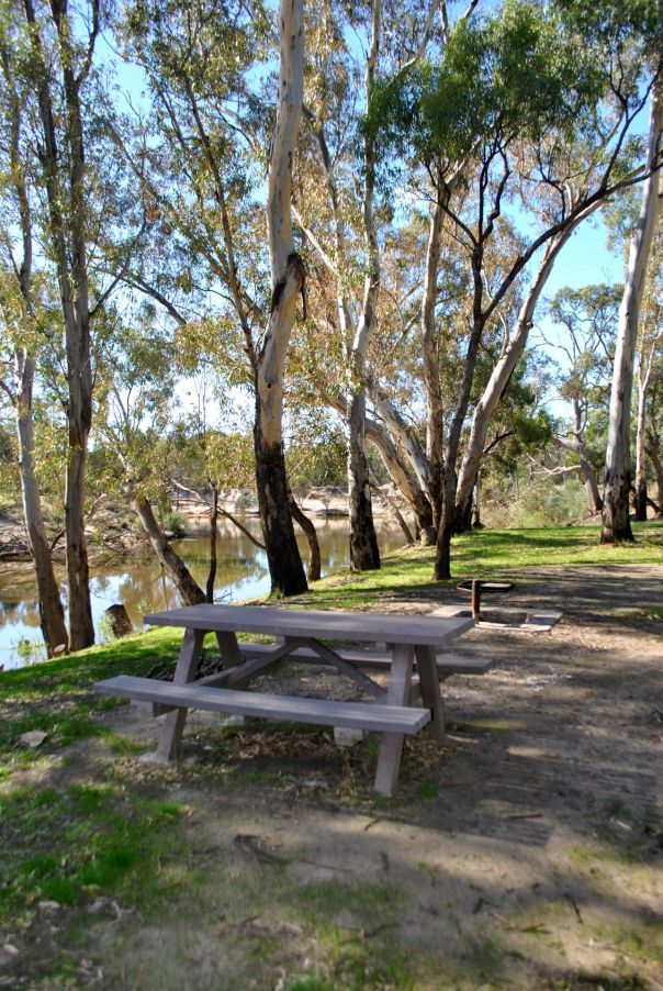 A picnic table near tall trees alongside a river