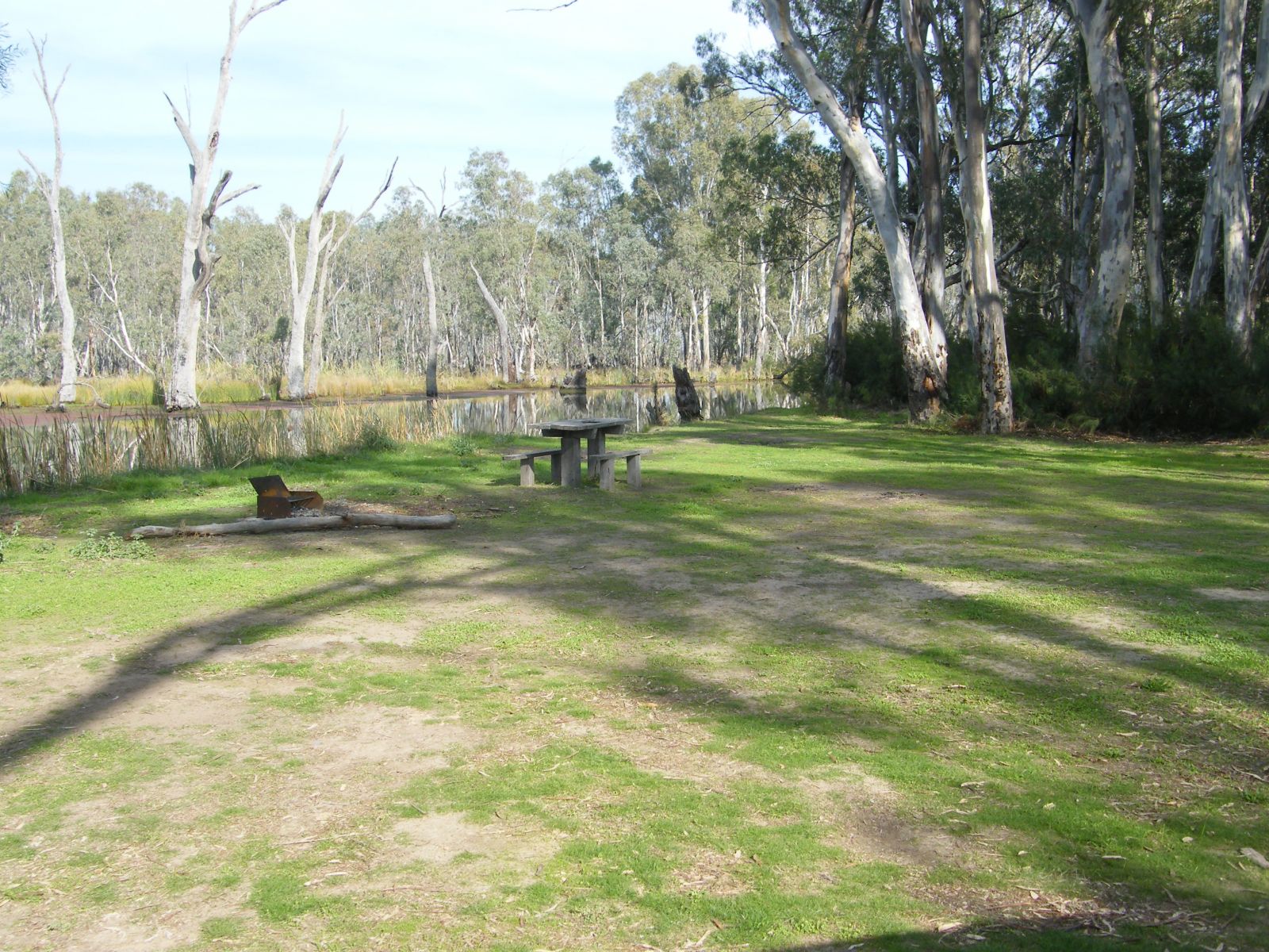 A grassy picnic area next to a creek