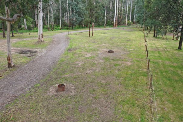 The campground showing different sites with firepits, in a clearing with native trees towering above