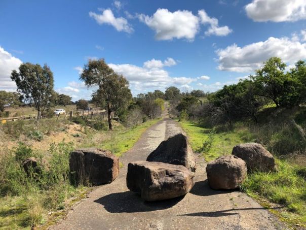 Some big rocks in the middle of a walking trail, green overgrown shrubs on each side of the trail