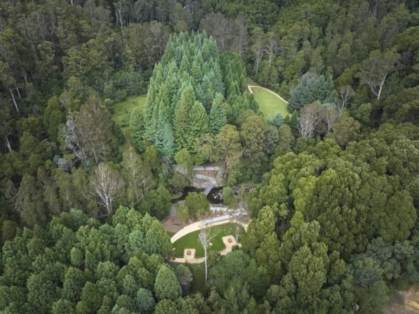 An aerial view of a dense green forest. Open grassy space with walking trails can be seen between large groups of trees.