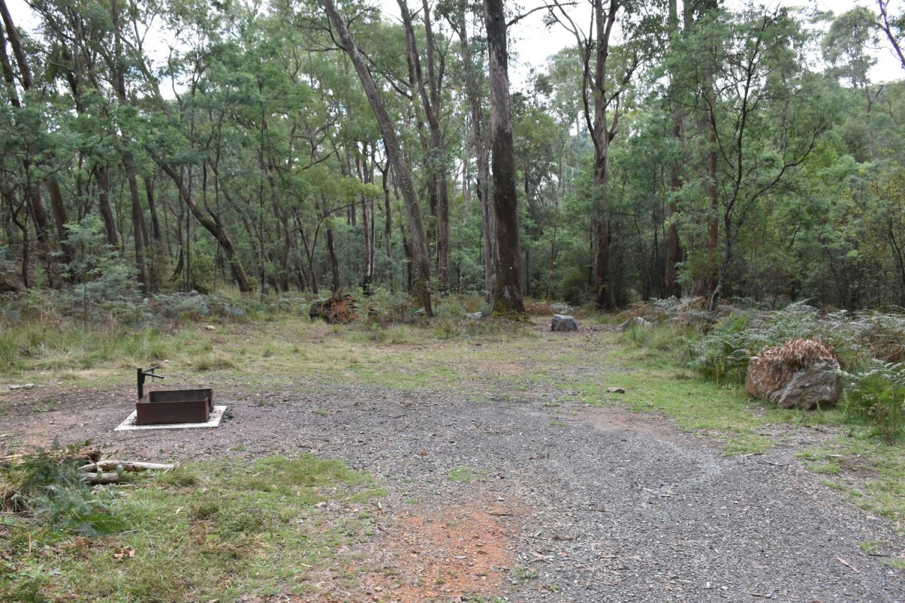 A campsite with singular fire pit