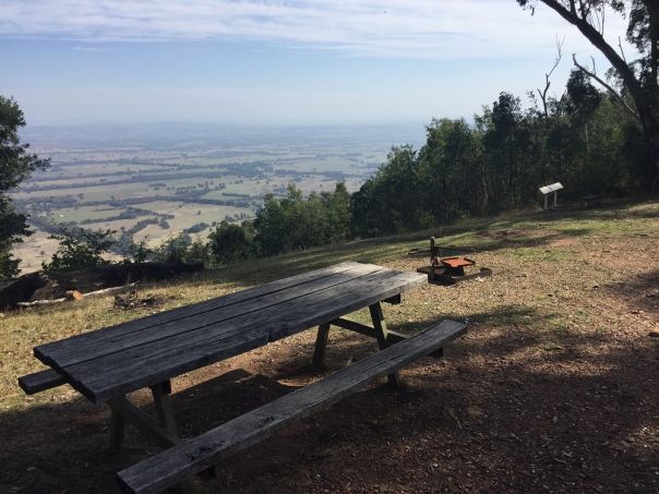 A picnic table and fire pit overlooking a forest view.