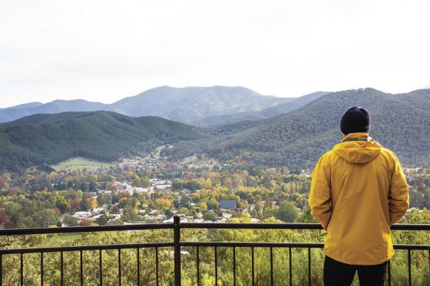 A person at a lookout overlooking a forest.
