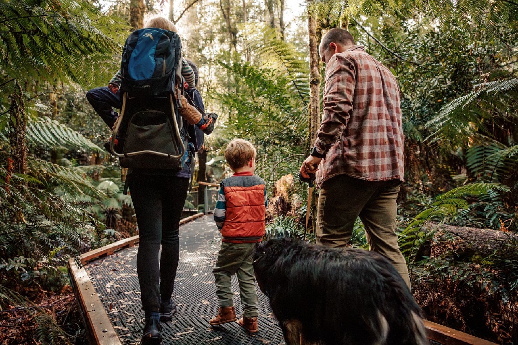 A family walking along a boardwalk in the forest.