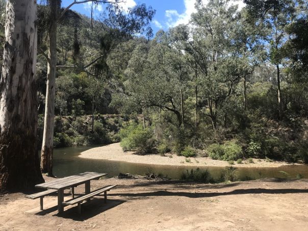A creek bend with a sandy bank surrounded by forest