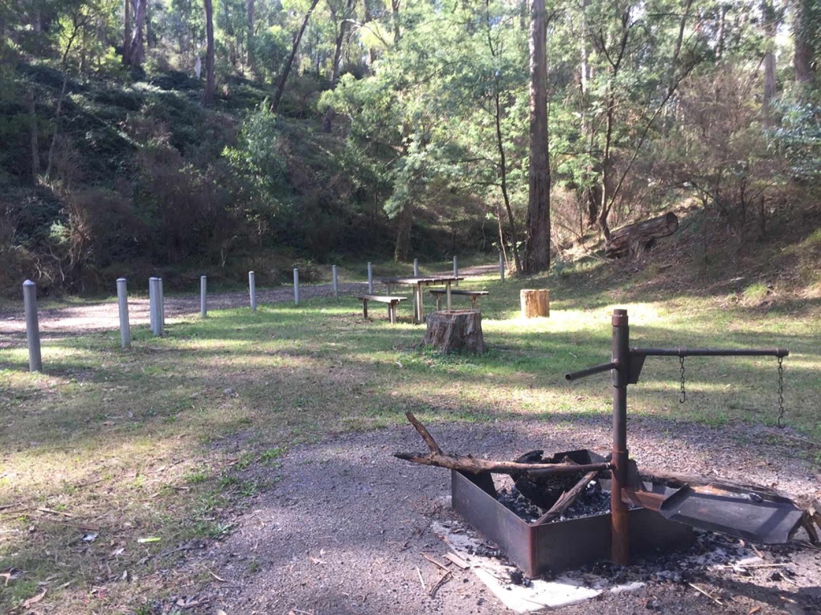 A fireplace and picnic table surrounded by forest
