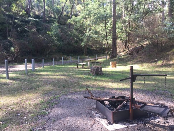 A fireplace and picnic table surrounded by forest