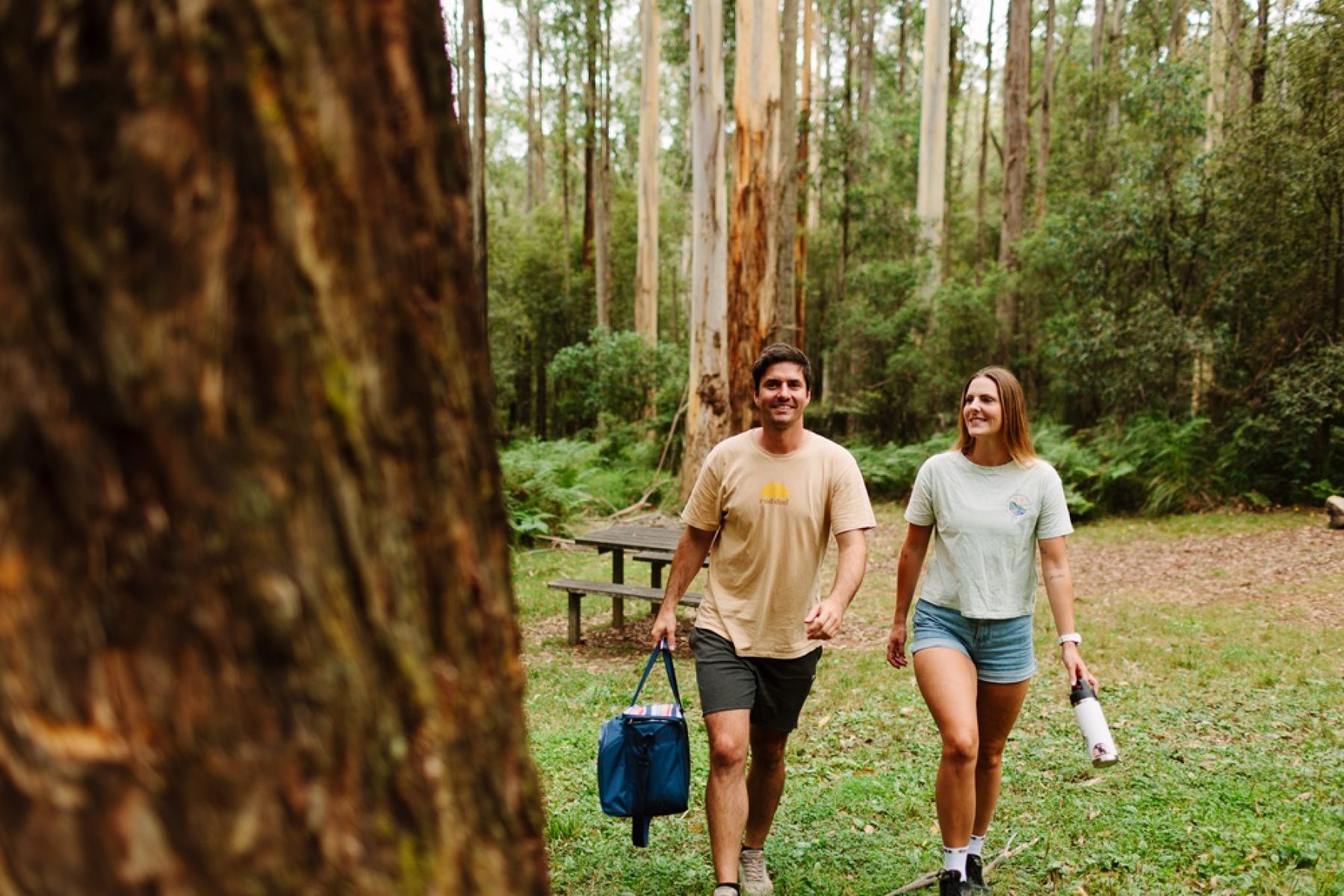 Two people walking with a picnic hamper in a clearing in the forest