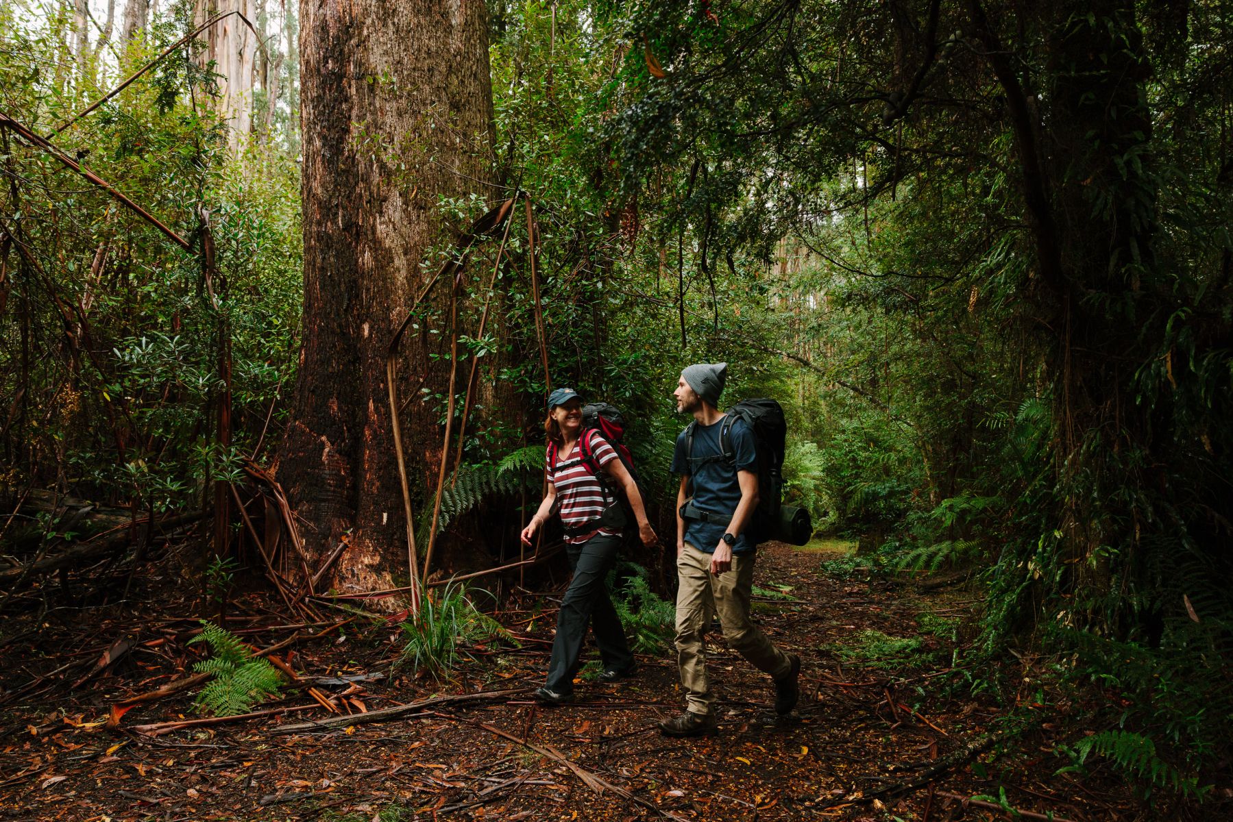 Two people with overnight backpacks walking through tall forest