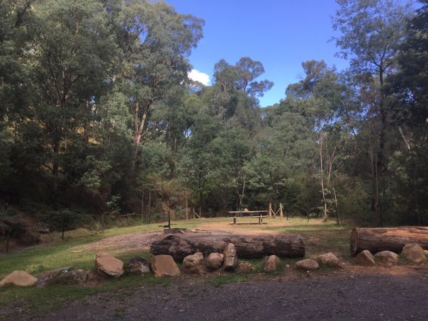 Picnic table in grass clearing surrounded by forest