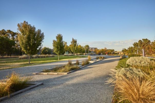 View of the walking trail in the park, with dry shrubbery on each side