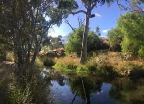 landscape of toolern creek 