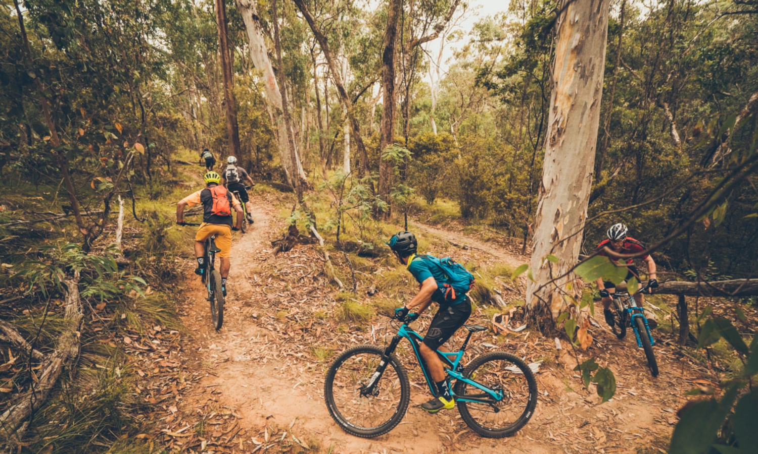 mountain-bike-primary-campaign.jpg