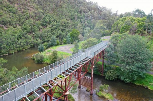 A bridge passing over a river in the forest.