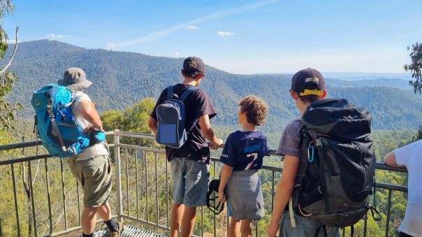 Four people standing on the viewing platform overlooking the forest.