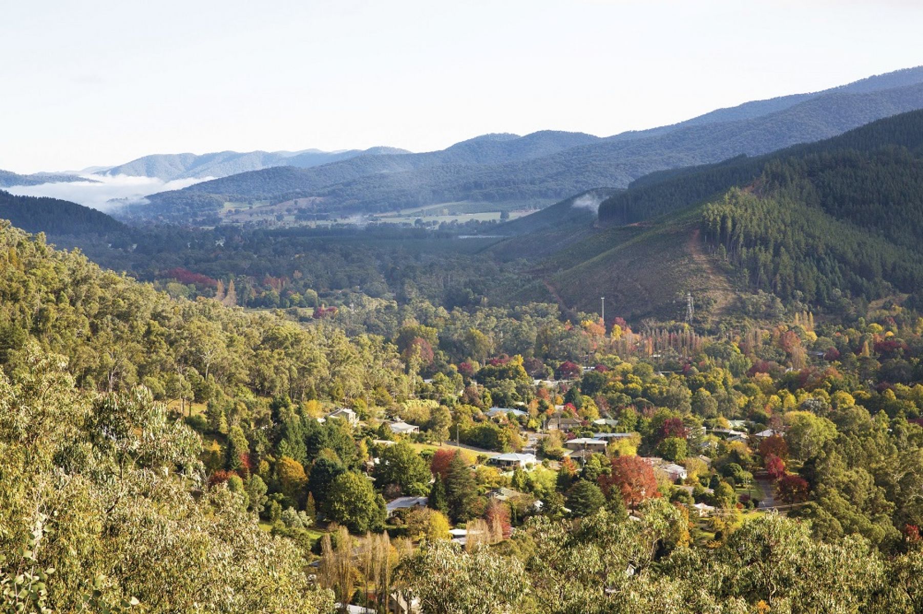 A view over Bright township, surrounded by forest. 