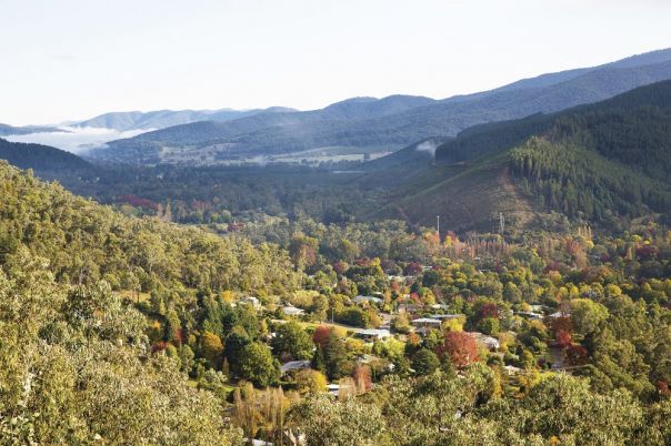 A view over Bright township, surrounded by forest.
