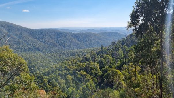 View of forested mountains and valley
