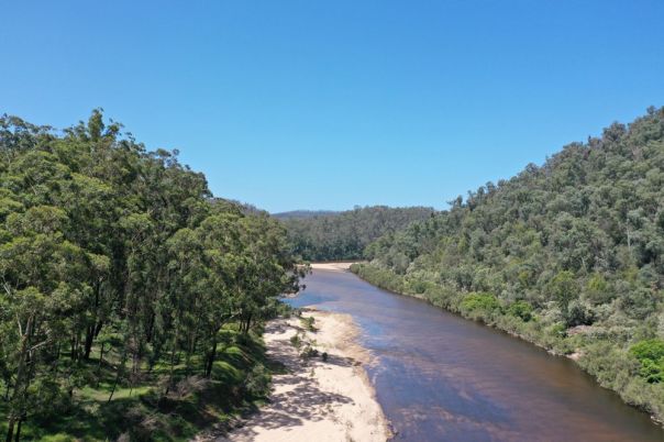 A river flowing through a forest