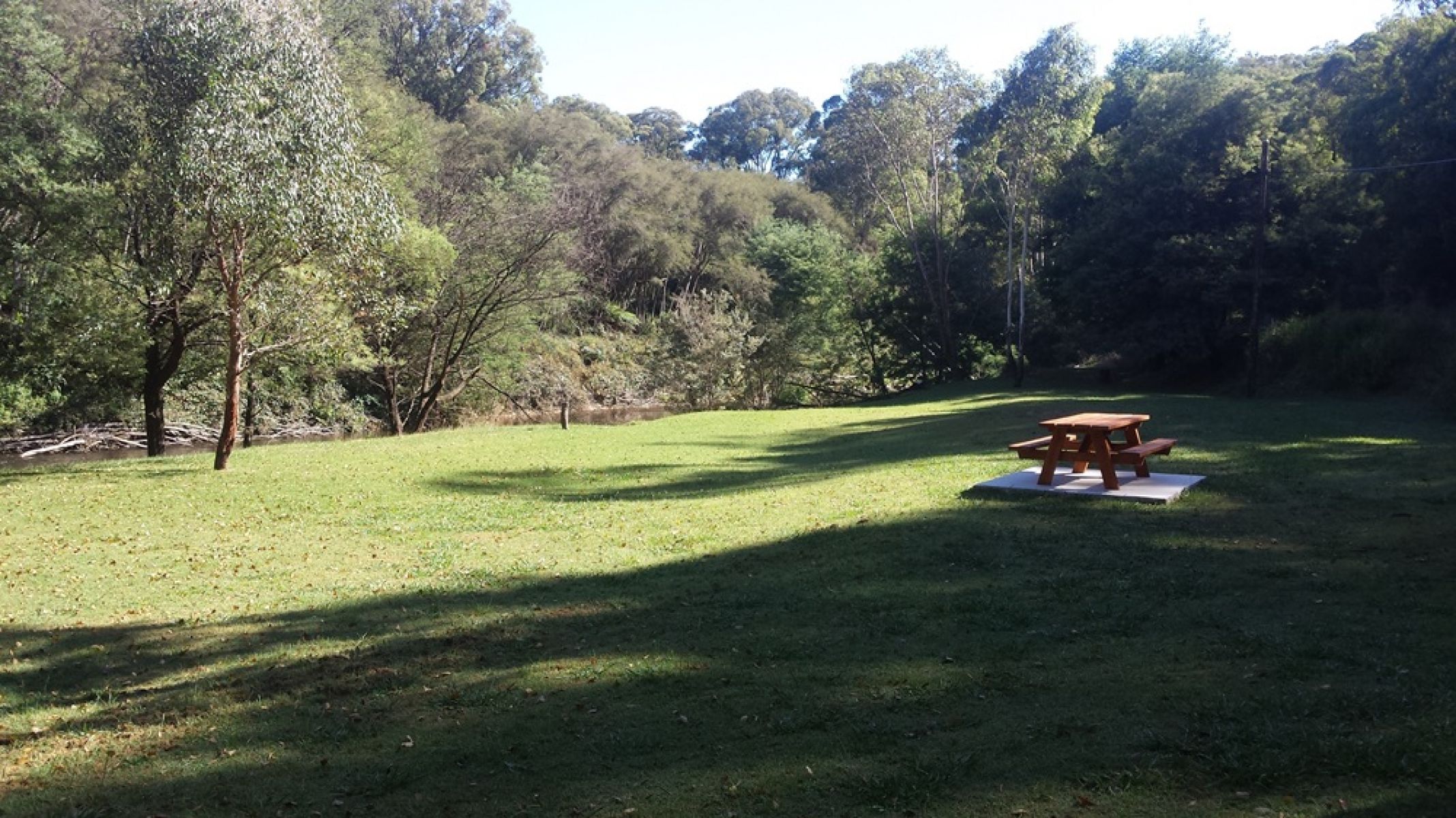 A grass picnic area surrounded by forest