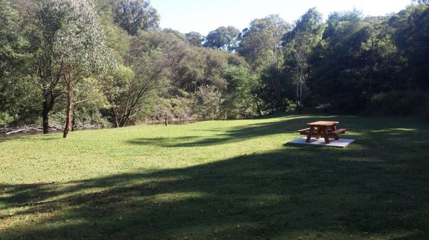 A grass picnic area surrounded by forest