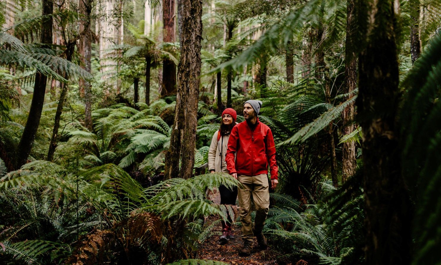 Two people walking through trees