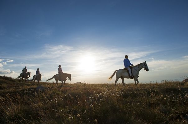 Four people on horseback on a grassy hill