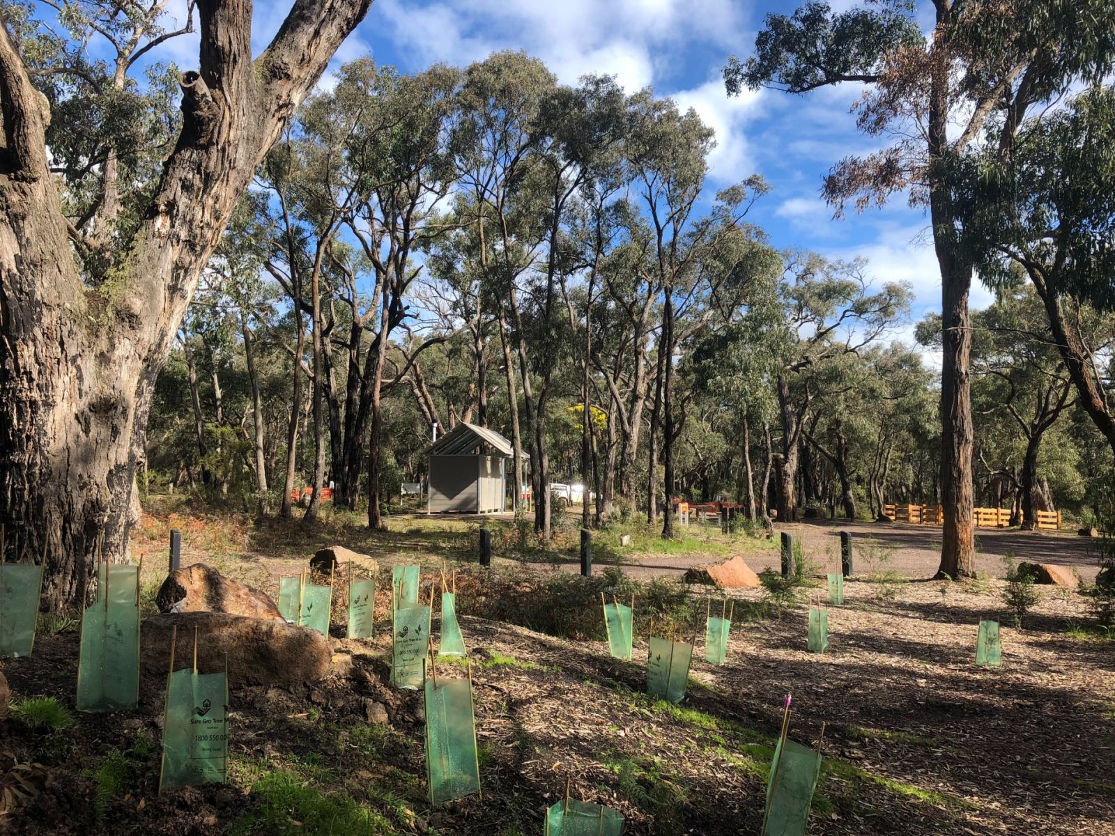 A campground with shrubs, trees and a toilet shed