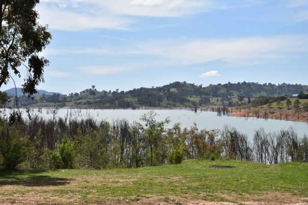 A grassy bank leads down to Lake Eildon