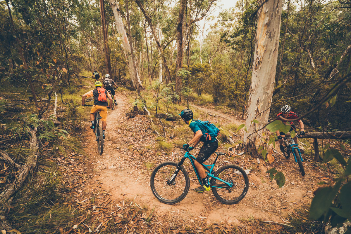 Enjoy moderate climbs with flowing descents A group of mountain bike riders ride uphill on a trail through forest