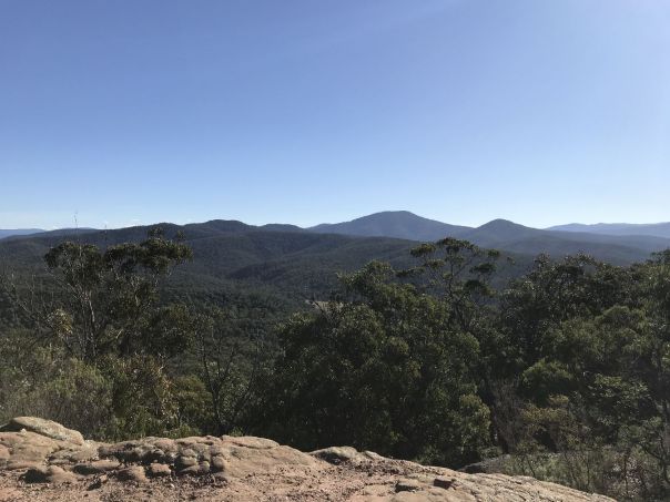 A viewing point along the track of the Avon - Mount Hedrick Scenic Reserve, looking over dense forest 