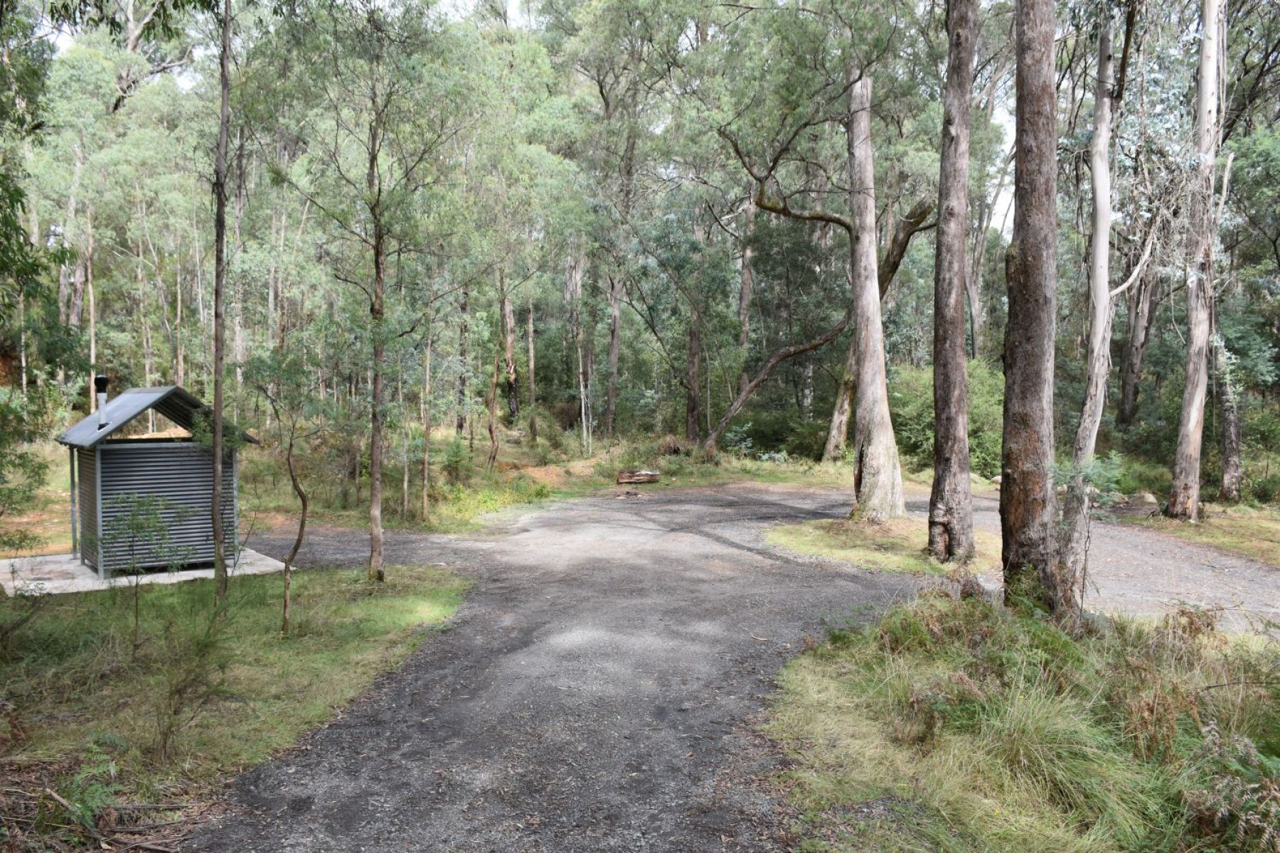 A bush camping area with a single metal toilet block.