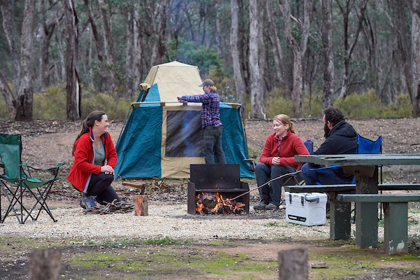 A group of friends sit aorund a campfire in a natural bush setting