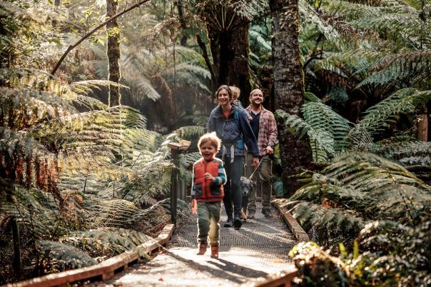 A family walking on a boardwalk in the forest
